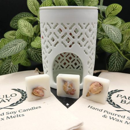 Baccarat Rouge Wax Melts 10g