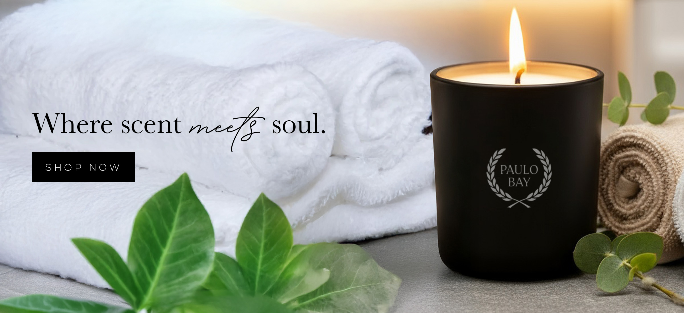 Paulo_Hero_Template3